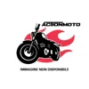 Assieme Leva Cambio (Cuscinetto JAP) RFTR226 Lightech