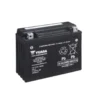 Batteria Sigillata Con Acido Yuasa YTX24HL-BS