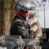 Borsa Retrosella Givi T525 33 Litri Nero Adatto al trasporto di Animali
