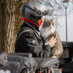Borsa Retrosella Givi T525 33 Litri Nero Adatto al trasporto di Animali