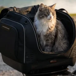 Borsa Retrosella Givi T525 33 Litri Nero Adatto al trasporto di Animali