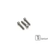 Cnc Racing Kv384X Kit Viti Cover Pignone M6X16 (3 Pz) Titanio