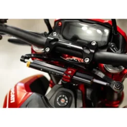 Cnc Racing SD119BS Supporto ammortizzatore di sterzo Ducati Hypermotard 698 Mono Argento