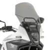 Cupolino Givi D1203S Fumé