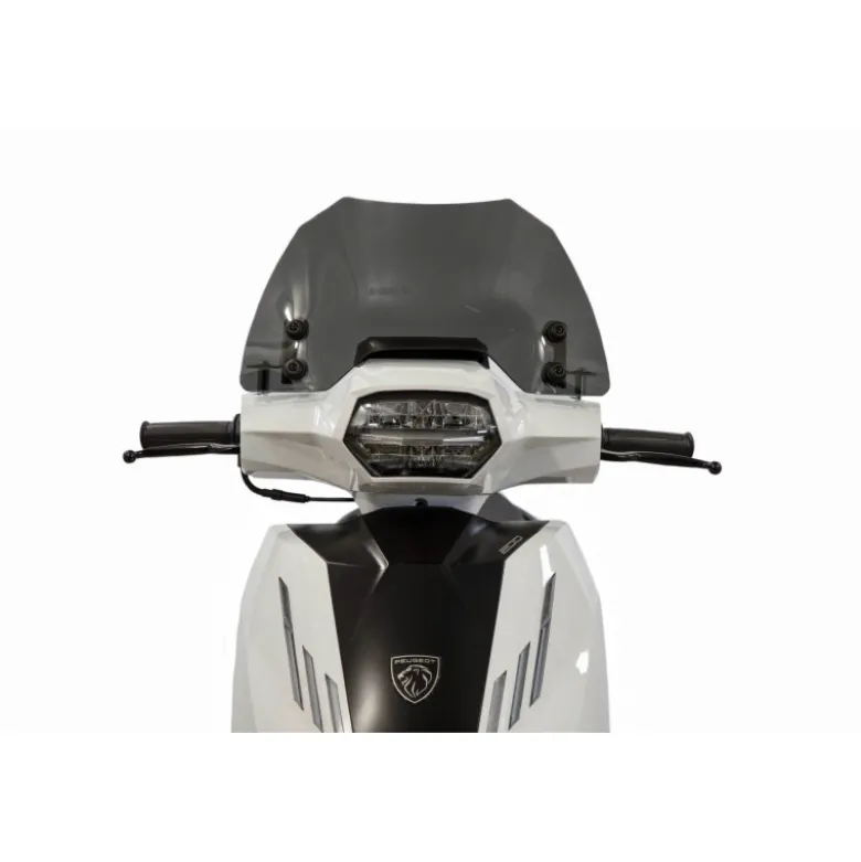 Cupolino Isotta Fumé Scuro per Peugeot Tweet Fl 200 2023