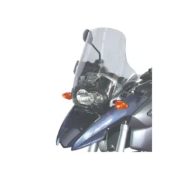 Cupolino Isotta per BMW R 1200 Gs Standard dal 2004 al 2012 Fumé Chiaro