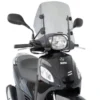 Parabrezza Fabbri 2593/LD Fumé