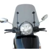 Parabrezza Fabbri 2693/LD Fumé