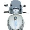 Parabrezza Fabbri 2778/LD Fumé
