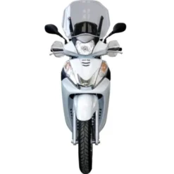 Parabrezza Fabbri 2943/LD Fumé