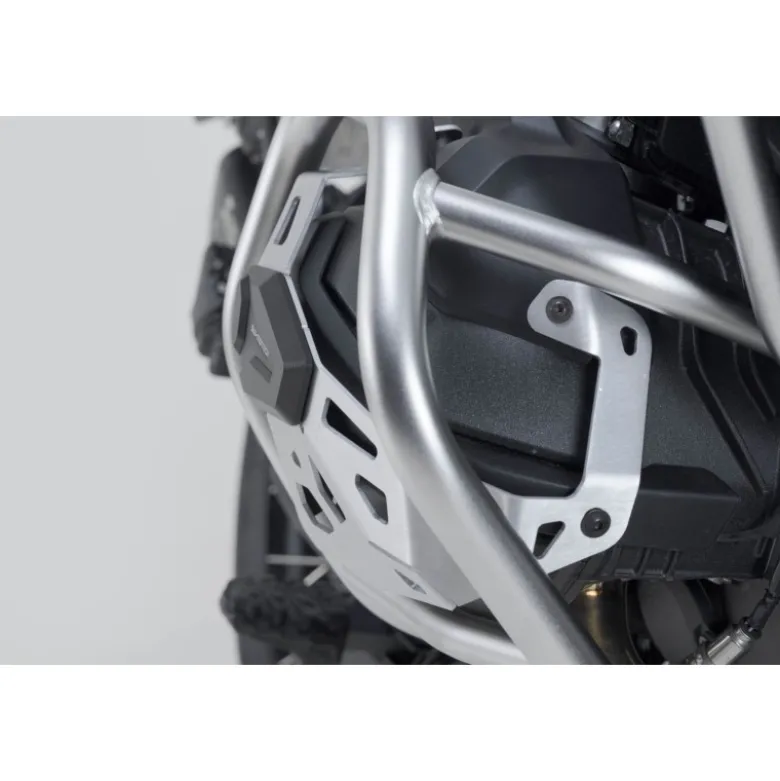 Protezione Del Cilindro Argento/Nero. Bmw R 1300 Gs (23-).