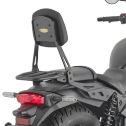 Schienalino Con Portapacchino Givi TS4134C