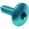 Vite Autofilettante 003 D5,5x19 Ergal Cobalto PAC35519COB Lightech