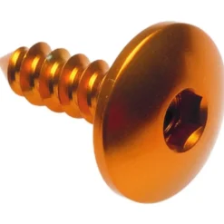 Vite Autofilettante 003 D 4,9x16 Ergal Oro PAC34916ORO Lightech