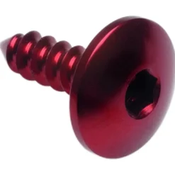 Vite Autofilettante 003 D4,9x13 Ergal Rosso PAC34913ROS Lightech