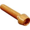 Vite Esagono Inc. Erg. Cl 001 M8 L. 55 Oro 001M8055ORO Lightech