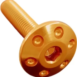 Vite Forata M6 X 30 Oro FORM630ORO Lightech