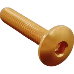 Vite Testa Bombata Erg. Cl 002 M6 L. 30 Testa D14 Ergal (7075 T6) Oro 002M6030ORO Lightech