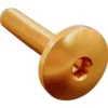 Vite Testa Bombata Erg. Cl 003 M6 L. 20 Testa D17 Ergal (7075 T6) Oro 003M6020ORO Lightech