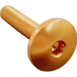 Vite Testa Bombata Erg. Cl 003 M8 L. 40 Testa D22 Ergal (7075 T6) Oro 003M8040ORO Lightech