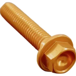 Vite Testa Esagonale Erg. Cl 004 M8 L. 55 Oro 004M8055ORO Lightech