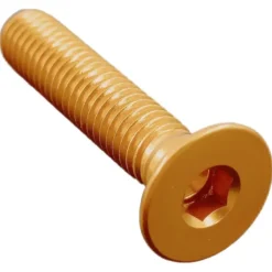 Vite Testa Piana Svas. Erg. Cl 005 M8 L. 30 Oro 005M8030ORO Lightech
