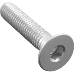 Vite Testa Piana Svas. Erg. Cl 005 M6 L. 55 Silver 005M6055SIL Lightech
