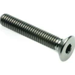 Vite Testa Piana Svas. Tit. G.5 Cl 005 M8 L. 15 T005M8015 Lightech